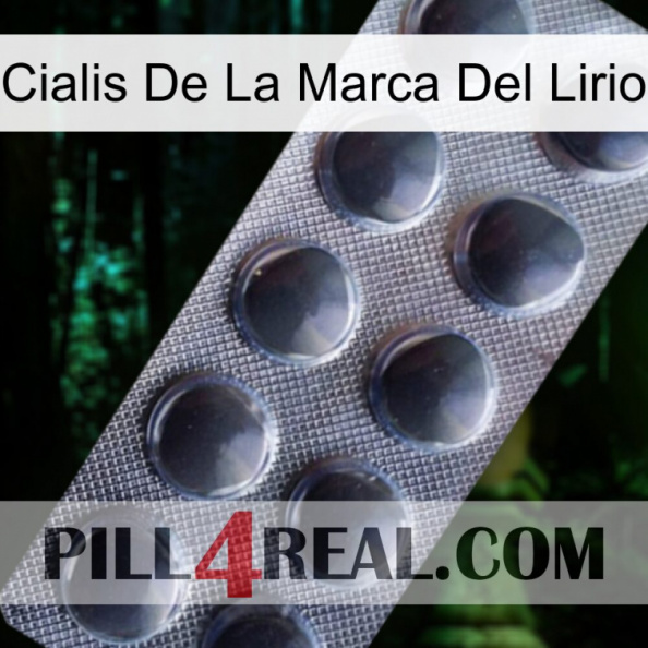 Lily Brand Cialis 30.jpg